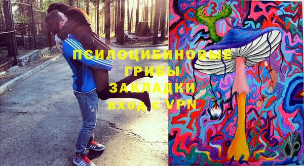 соль курить ск Бородино